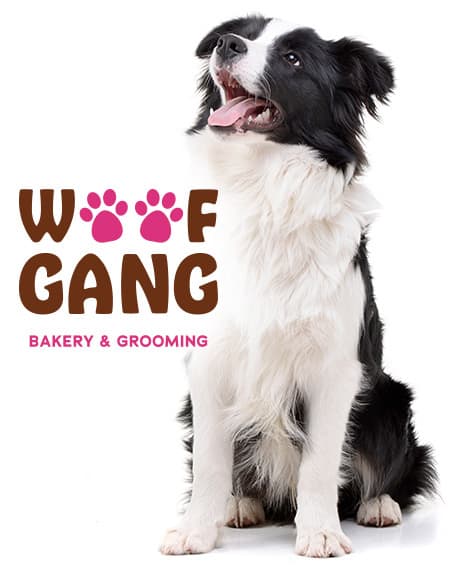 Exclusive WGB discount