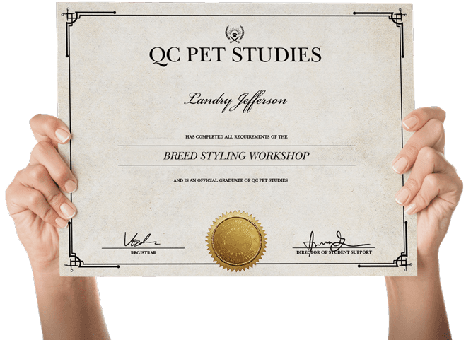 Dog store grooming certification
