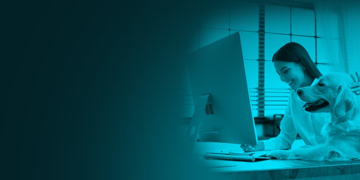 Professional Dog Trainer Course QC Pet Studies