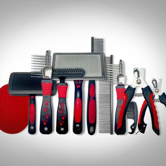 dog gooming starter set