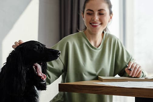 dog snarling at another dog