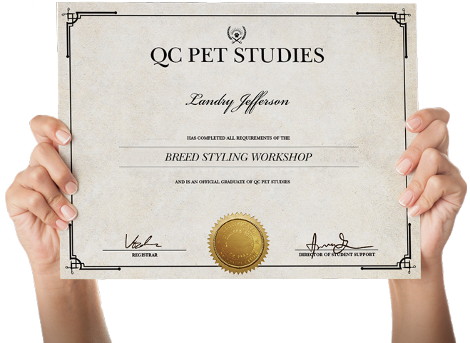 Breed Styling Workshop certificate