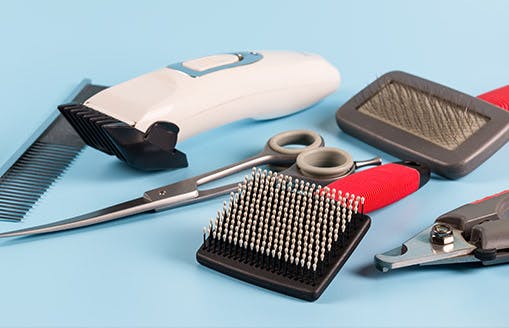 assorted dog grooming tools
