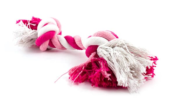 a dog toy
