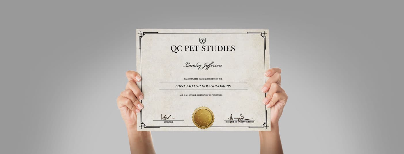 First Aid certification