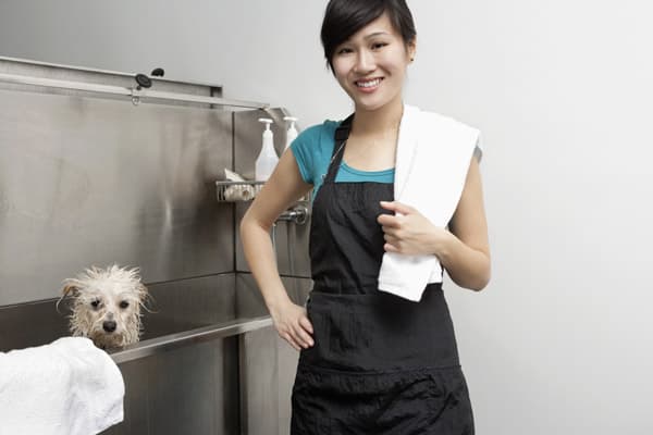 groomer bathing a dog