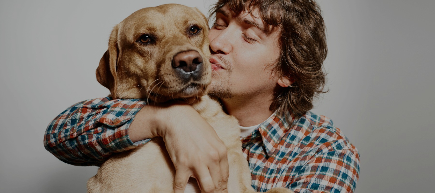 6 Jobs You’ll LOVE With Your Dog Grooming Certification