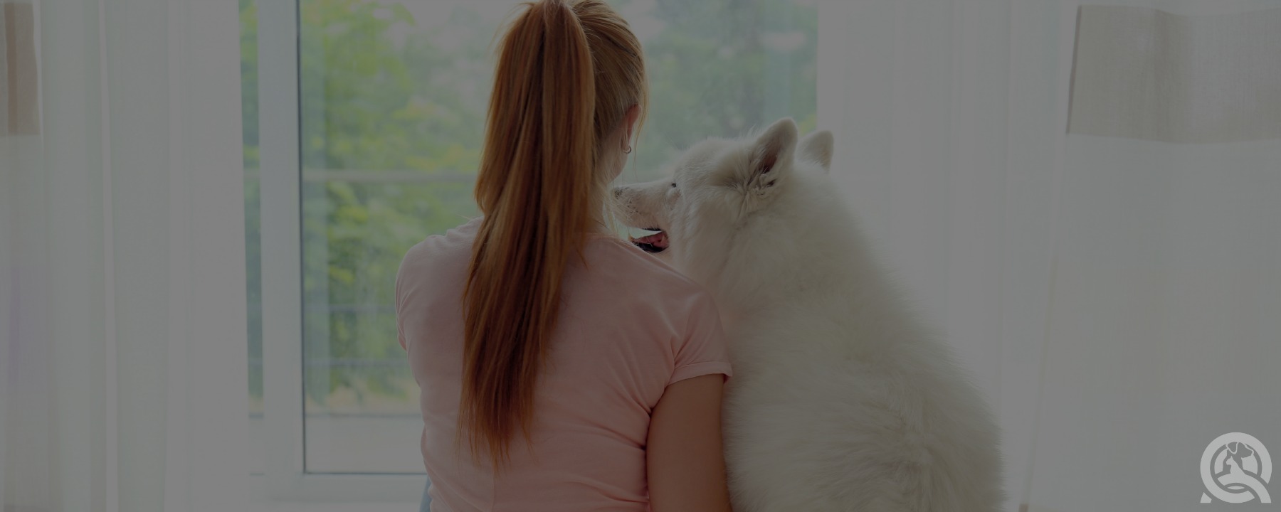 8 Unique Family-Friendly Dog Breeds We’d Love to Groom