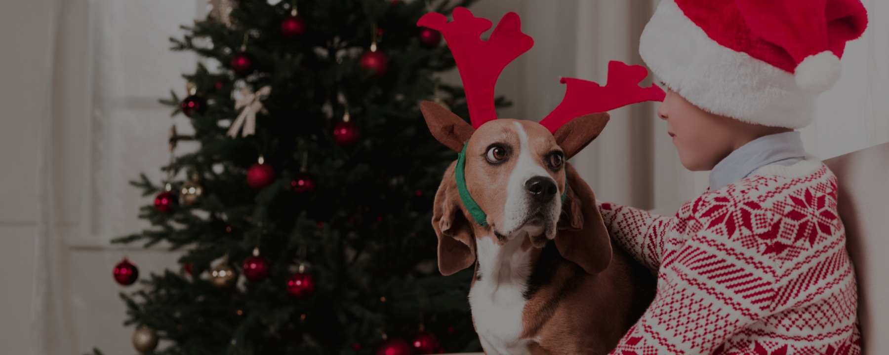 How to Keep Your Pets Safe During the Holidays