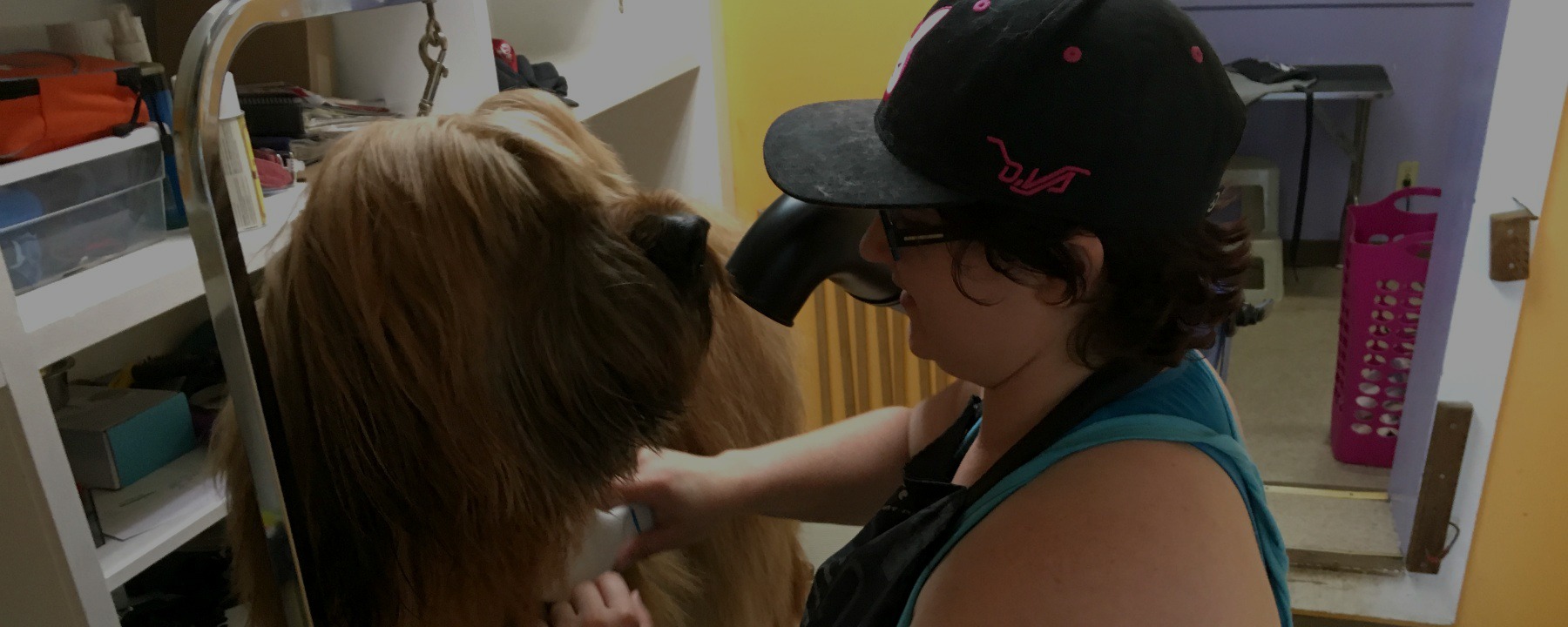 QC Pet Studies Student: Nicki Hughes