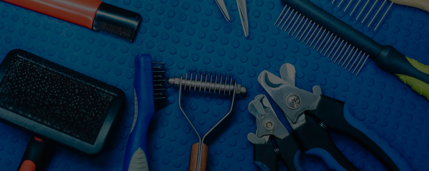 Your Professional Dog Grooming Kit: Brushes, Combs, and Dematting Tools