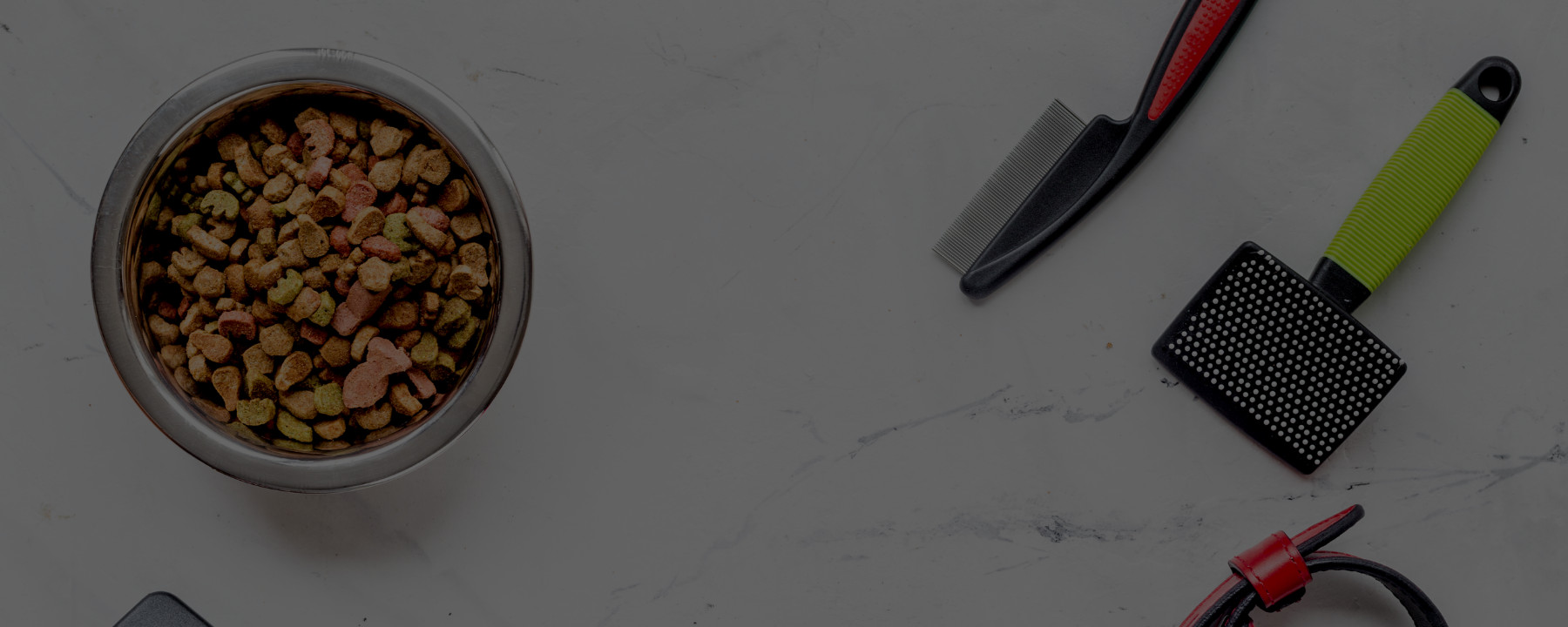 What’s in a Competitive Dog Groomer’s Kit?