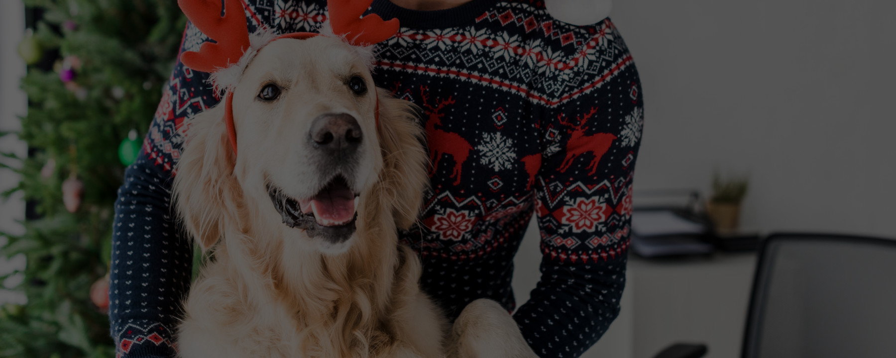 9 Holiday Gifts Dog Owners Actually Want