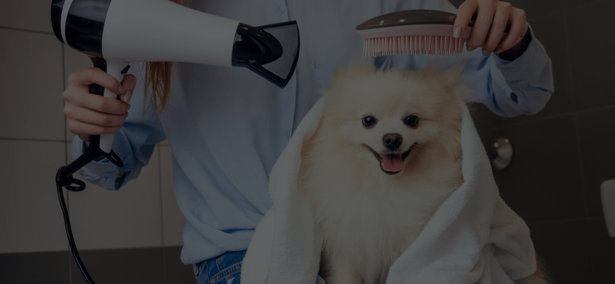 How to Handle Bad Reviews For Your Dog Grooming Business