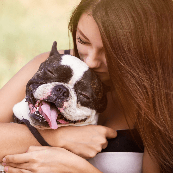 A Complete Pet Grooming Checklist for Responsible Pet Owners