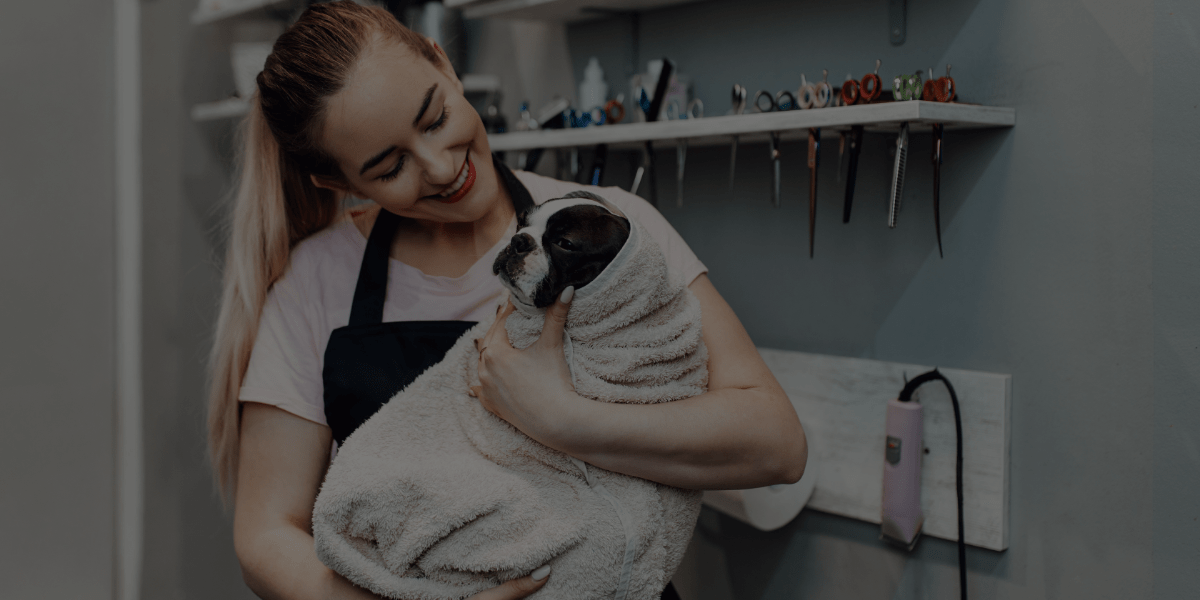 4 Factors That Affect the Self-Employed Dog Groomer Salary