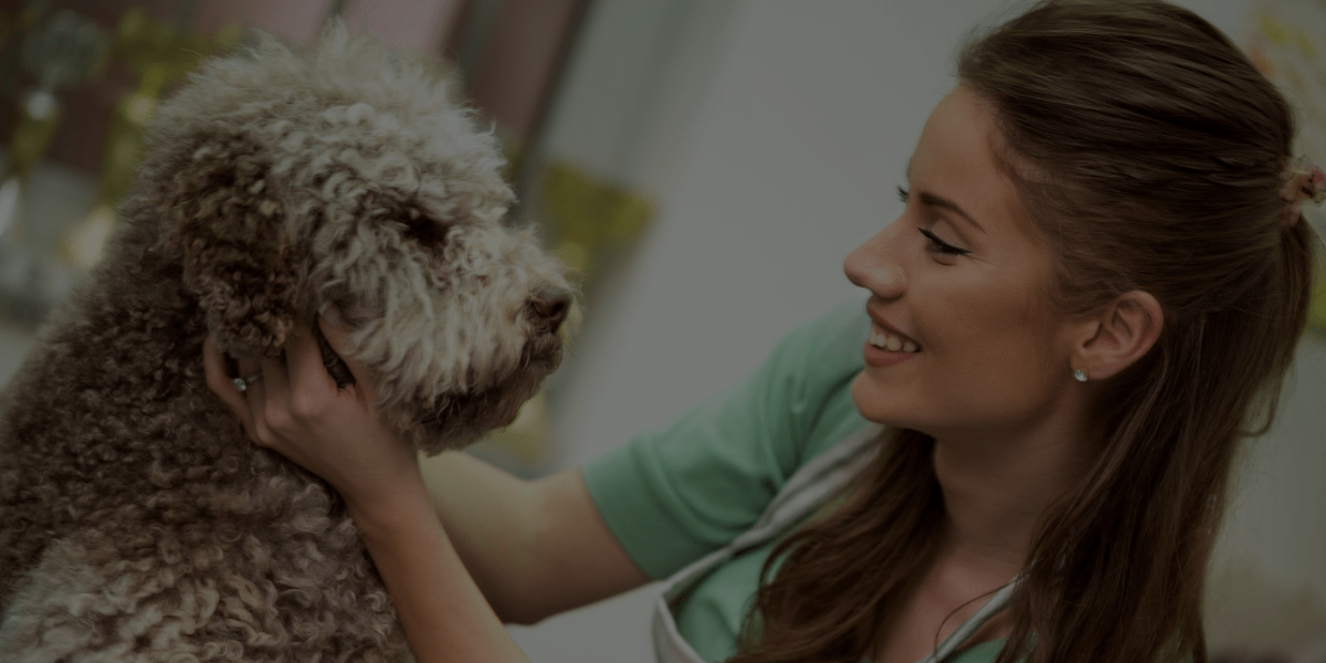 My Top Tips for Increasing Your Dog Groomer Salary