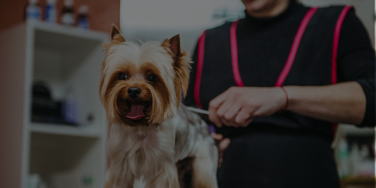 How to Become a Dog Groomer in a Small Town