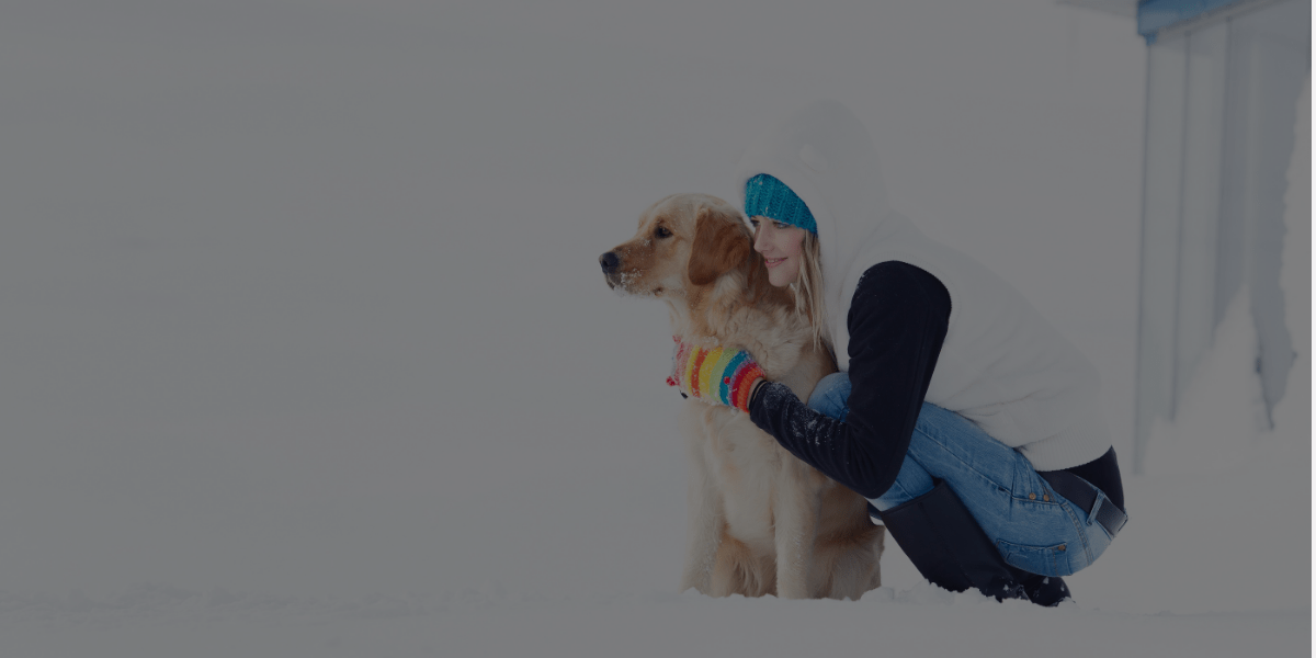 Prepare Your Dog for Winter with These 8 Tips!