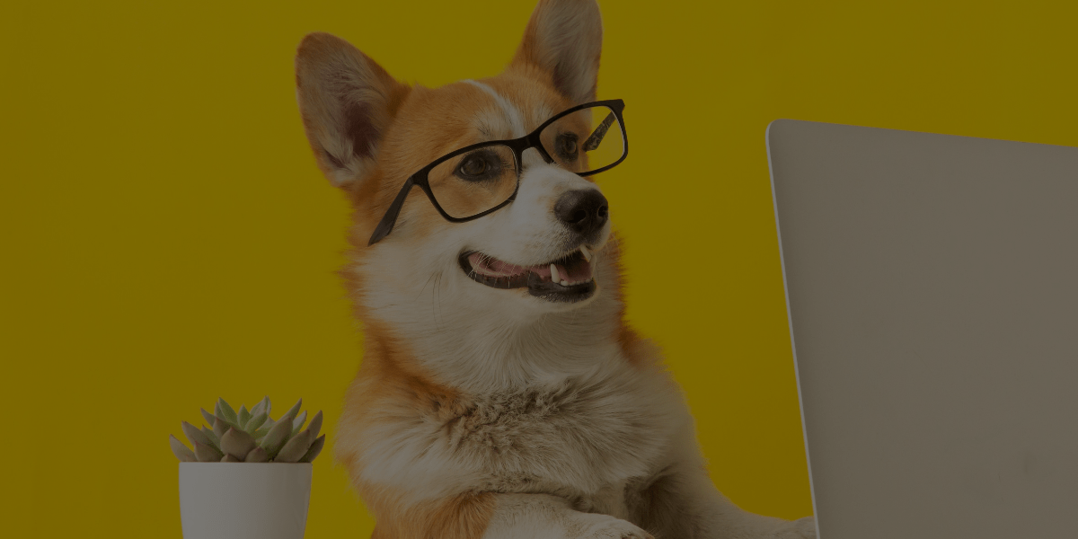 QC Pet Studies’ Top 10 Blogs of 2020