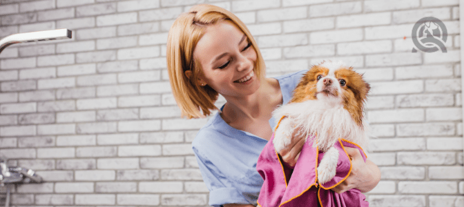 What are the benefits of First Aid training for dog groomers?