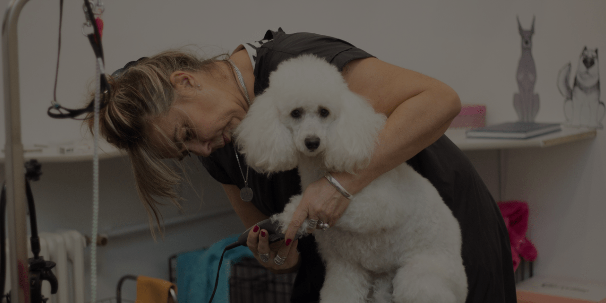 4 Awesome Dog Grooming Package Ideas