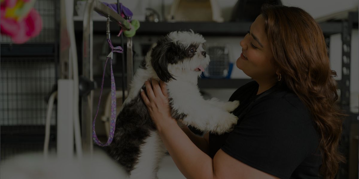 4 Awesome Dog Grooming Package Ideas