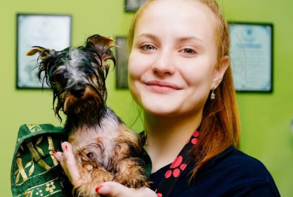 Dog groomer salary article, July 2 2021, Feature Image