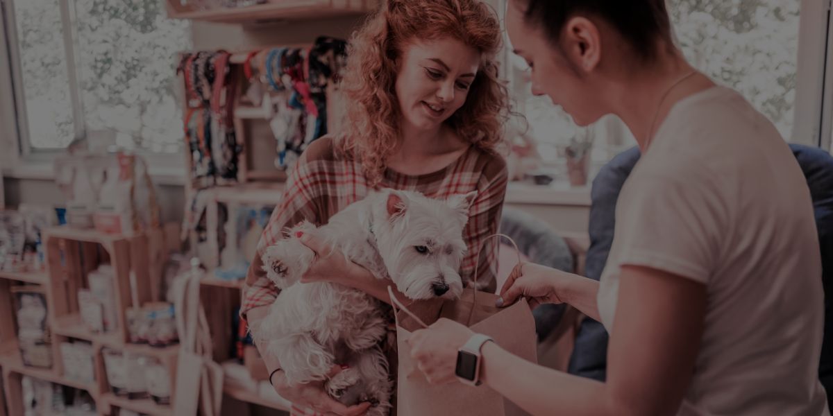 How to Start Your Own Pet Care Business