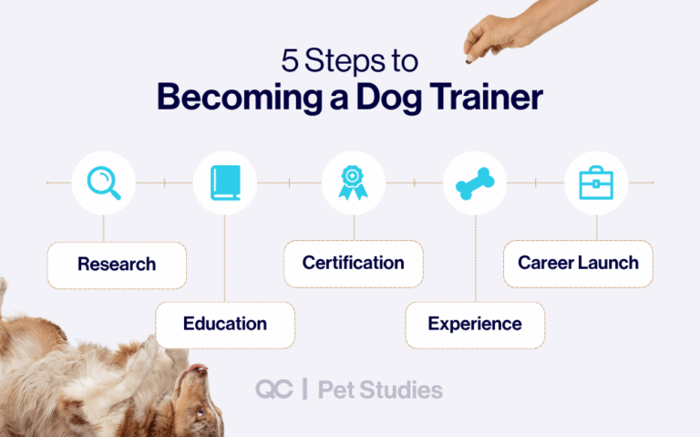 How to Become a Dog Trainer: Your Step-by-Step Guide
