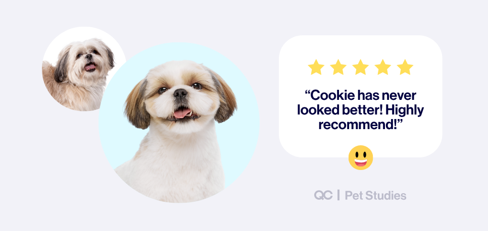 Before-and-after photos of a freshly groomed Shih Tzu with a 5-star review reading “Cookie has never looked better! Highly recommend!”—highlighting the satisfaction and success that comes from professional jobs working with dogs.
