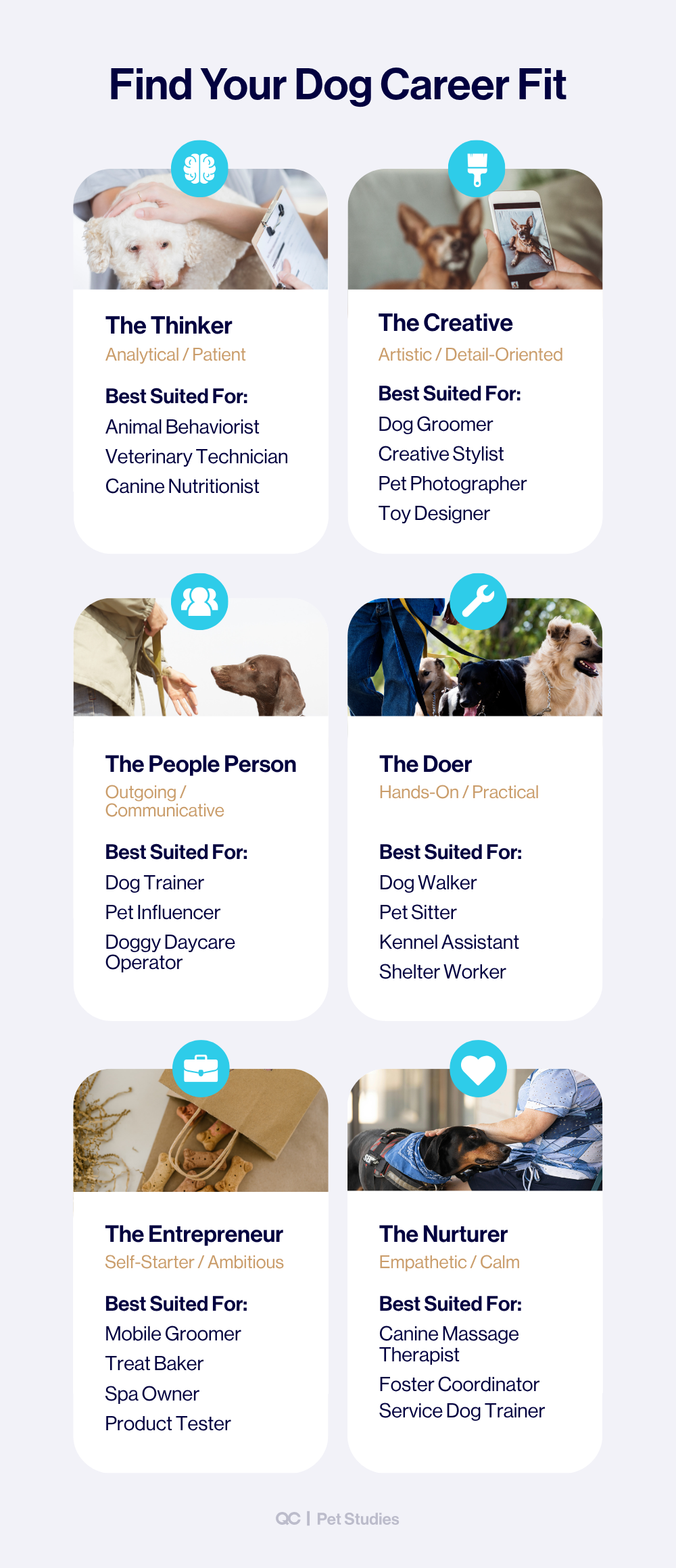 Infographic titled "Find Your Dog Career Fit" showing personality types—The Thinker, The Creative, The People Person, The Doer, The Entrepreneur, and The Nurturer—each matched with ideal jobs working with dogs, such as groomer, dog trainer, animal behaviorist, and massage therapist.