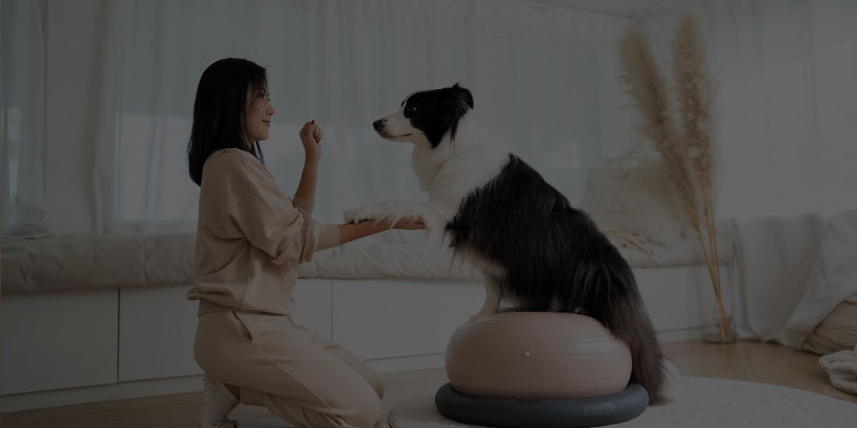How to Become a Dog Trainer: Your Step-by-Step Guide