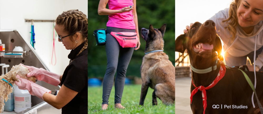 Collage of three women working in different jobs working with dogs: grooming a small dog, training a Belgian Malinois, and bonding with a Labrador—showcasing diverse career paths in the canine industry.