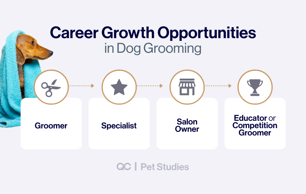 Infographic showing career growth opportunities after completing dog groomer training courses, progressing from groomer to specialist, salon owner, and educator or competition groomer.