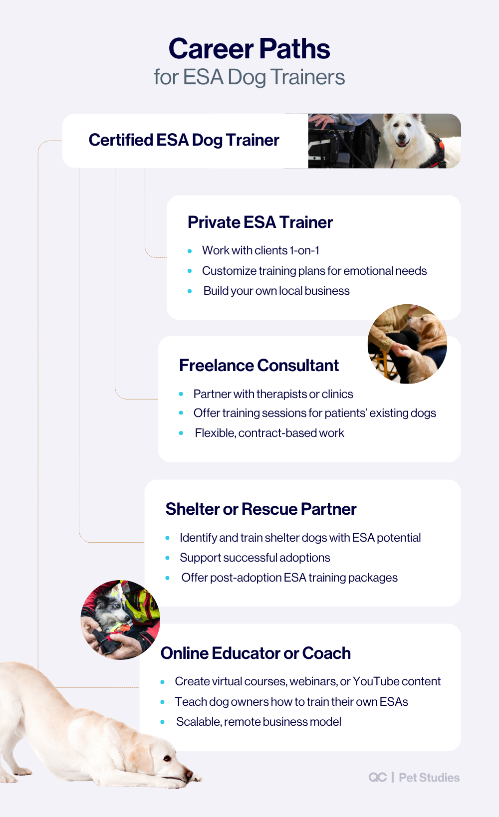 Infographic outlining career paths in emotional support dog training, including roles as a private ESA trainer, freelance consultant, shelter partner, and online coach.