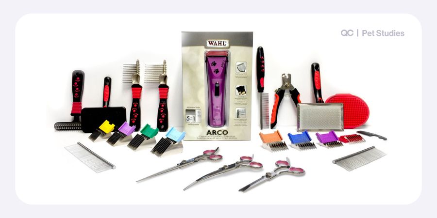 Dog grooming starter kit with clippers, scissors, and brushes, used to teach students about dog grooming near me prices and professional grooming tools.