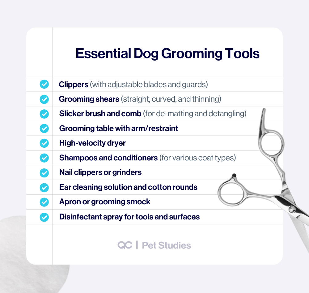 Checklist of essential dog grooming tools for how to become a dog groomer, including clippers, shears, brushes, grooming table, dryers, shampoos, and safety gear.
