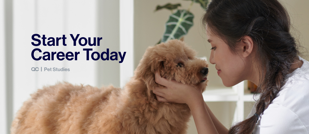 Aspiring groomer learning how to become a dog groomer, gently holding a fluffy dog’s face with care and connection.