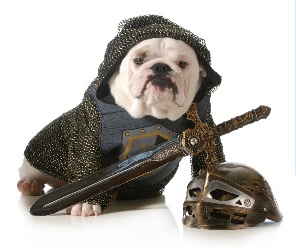 Large dog costumes for Halloween featuring a bulldog dressed as a medieval knight with armor, sword, and helmet.