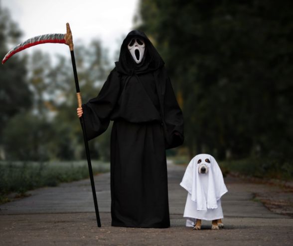 Dog and owner Halloween costumes featuring a person in a Grim Reaper outfit with their dog dressed as a ghost in a white sheet.