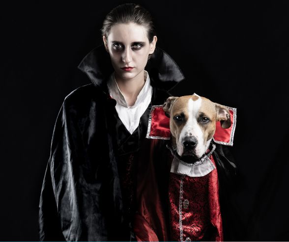 Dog and owner Halloween costumes featuring a woman and her dog dressed as matching vampires in black and red outfits.