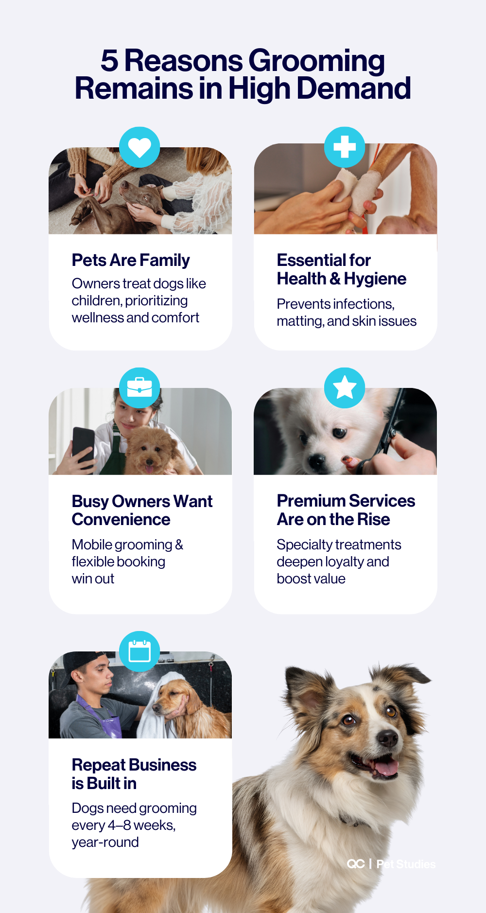 Infographic titled ‘5 Reasons Grooming Remains in High Demand’ outlining why dog grooming continues to grow