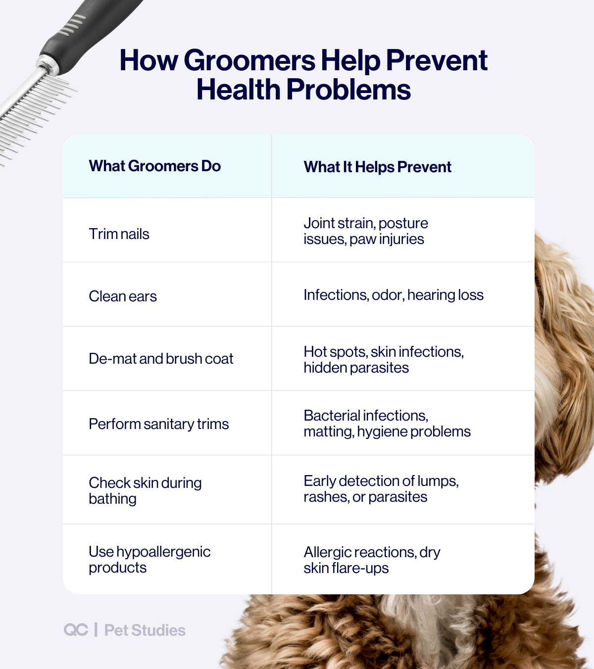 Dog grooming health infographic showing how grooming services help prevent infections, matting, and joint issues