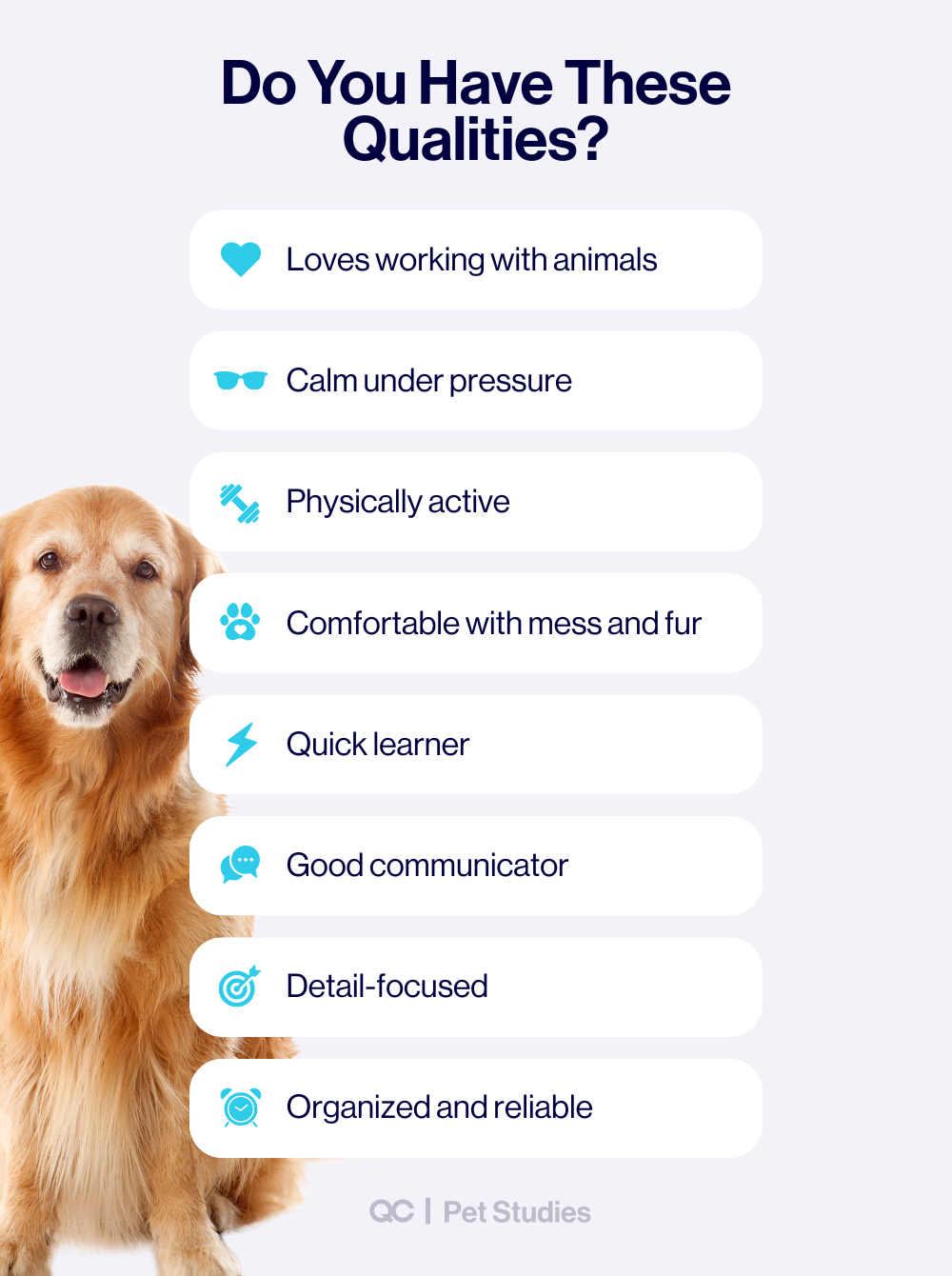 Traits of a successful dog groomer infographic highlighting skills and personality qualities