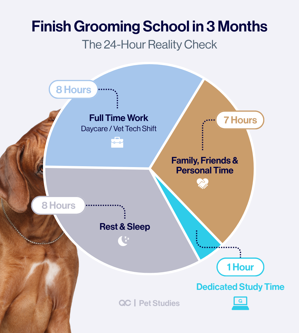Pie chart titled "Finish Grooming School in 3 Months: The 24-Hour Reality Check," showing a daily breakdown of 8 hours Full Time Work, 8 hours Rest & Sleep, 7 hours Personal Time, and 1 hour Dedicated Study Time.