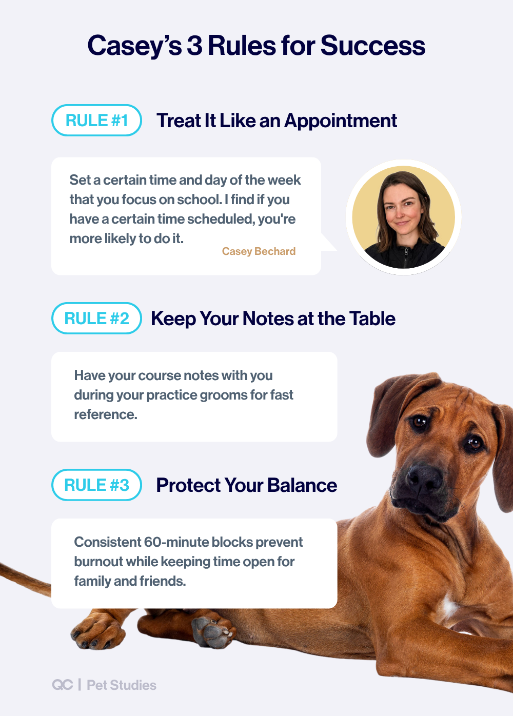 Infographic titled "Casey's 3 Rules for Success" featuring study tips for pet grooming: 1. Treat It Like an Appointment, 2. Keep Your Notes at the Table, and 3. Protect Your Balance.