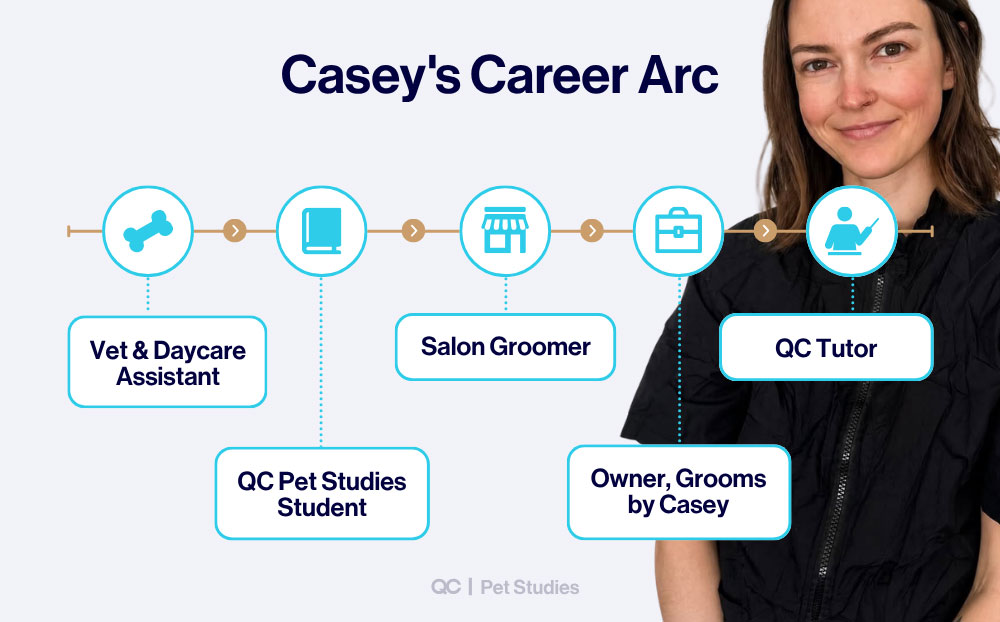 Infographic titled "Casey's Career Arc" by QC Pet Studies, displaying a 5-step timeline of Casey's professional progression from Vet & Daycare Assistant to QC Tutor alongside her portrait.